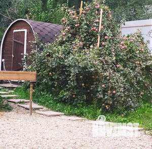 Дом 32м², 1-этажный, посуточно,