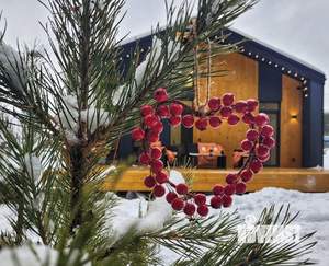 Дом 100м², 1-этажный, посуточно,