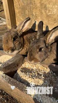 Дом 15м², 2-этажный, посуточно,