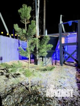 Дом 40м², 1-этажный, посуточно,