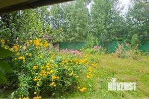 Дом 46м², 1-этажный, на длительный срок,