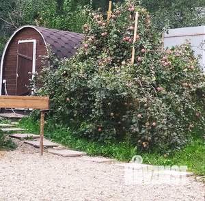 Дом 32м², 1-этажный, посуточно,