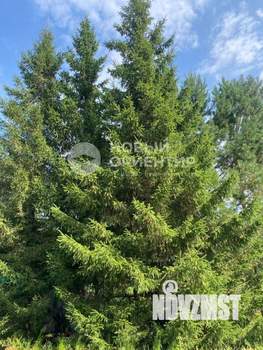 Дом 81м², 2-этажный, участок 16 сот.