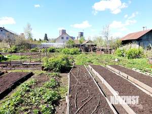 Дом 50м², 1-этажный, участок 11 сот.