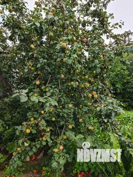 Дом 67м², 1-этажный, участок 16 сот.