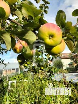 Дом 39м², 2-этажный, участок 4 сот.