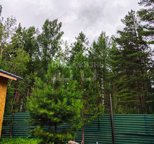 Дом 80м², 1-этажный, участок 8 сот.