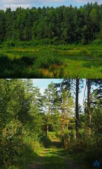 Дом 95м², 1-этажный, участок 8 сот.