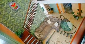 Дом 132м², 2-этажный, участок 10 сот.