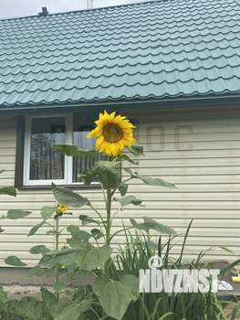 Дом 62м², 2-этажный, участок 5 сот.