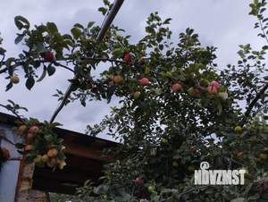 Дом 117м², 2-этажный, участок 6 сот.