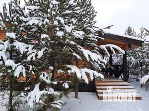 Дом 100м², 1-этажный, участок 10 сот.