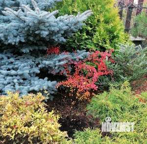 Коттедж 263м², 2-этажный, участок 9 сот.