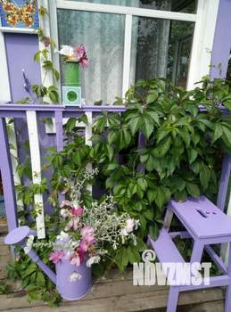 Дом 33м², 1-этажный, участок 456 сот.