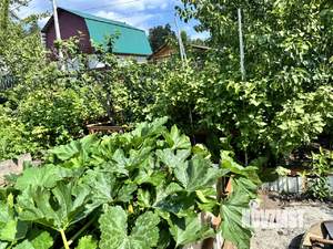 Дом 66м², 2-этажный, участок 7 сот.