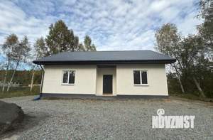 Дом 91м², 1-этажный, участок 12 сот.