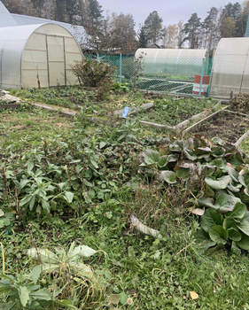 Дом 32м², 1-этажный, участок 8 сот.