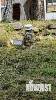 Дом 40м², 1-этажный, участок 8 сот.