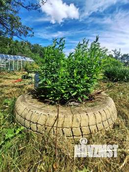 Дом 66м², 2-этажный, участок 4 сот.