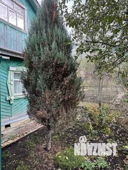 Дом 42м², 2-этажный, участок 5 сот.