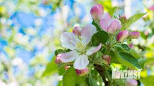 Коттедж 248м², 2-этажный, участок 8 сот.