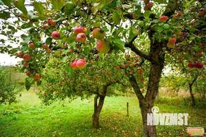 Коттедж 248м², 2-этажный, участок 8 сот.