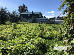 Дом 71м², 1-этажный, участок 15 сот.