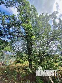 Дом 66м², 2-этажный, участок 4 сот.