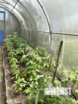 Дом 45м², 1-этажный, участок 7 сот.