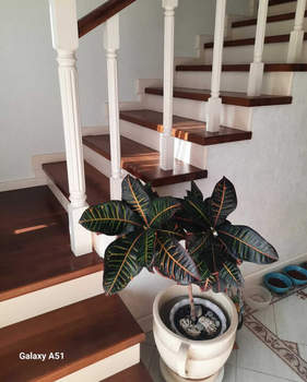 Дом 102м², 2-этажный, участок 3 сот.