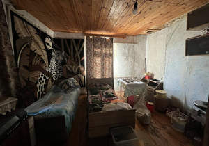 Дом 57м², 1-этажный, участок 11 сот.