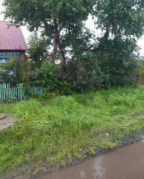 Дом 39м², 1-этажный, участок 37 сот.