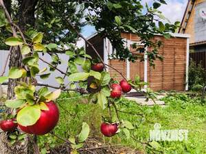 Дом 36м², 1-этажный, на длительный срок, 