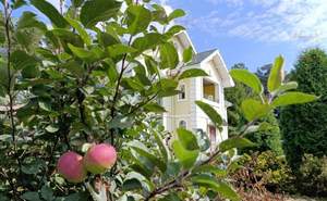 Дом 399м², 3-этажный, на длительный срок, 