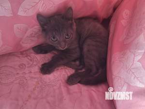 Дом 64м², 3-этажный, участок 16 сот.  