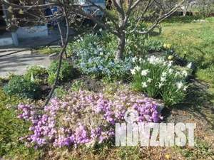 Дом 16м², 1-этажный, участок 13 сот.  