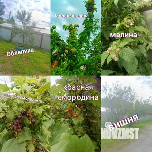 Дом 65м², 2-этажный, участок 4 сот.  