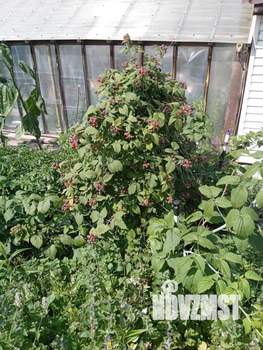 Дом 43м&sup2;, 2-этажный, участок 5 сот.  