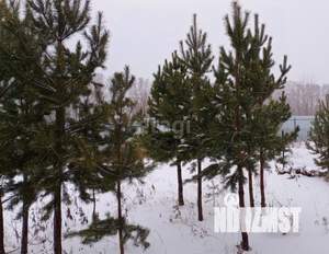 Дом 144м&sup2;, 1-этажный, участок 9 сот.  