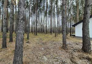 Дом 87м², 1-этажный, участок 6 сот.  