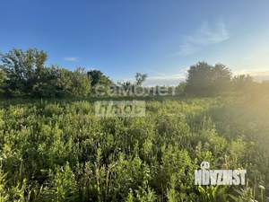 Дом 50м², 1-этажный, участок 16 сот.  