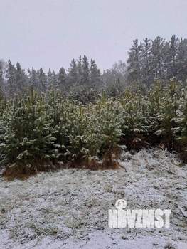 Коттедж 131м², 1-этажный, участок 12 сот.  