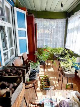 Дом 50м², 1-этажный, участок 11 сот.  