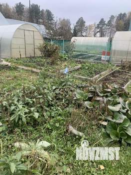 Дом 38м², 1-этажный, участок 6 сот.  