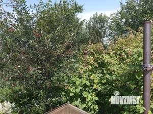 Дом 43м&sup2;, 2-этажный, участок 5 сот.  