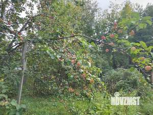 Дом 40м², 2-этажный, участок 6 сот.  