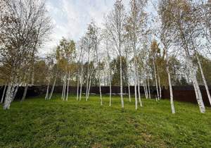 Дом 164м², 2-этажный, участок 11 сот.  