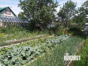 Дом 43м&sup2;, 2-этажный, участок 5 сот.  