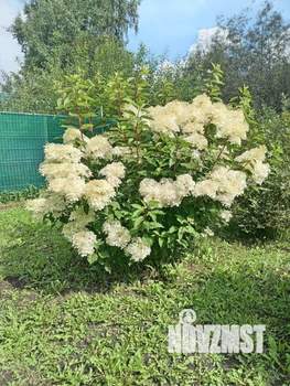 Дом 150м², 2-этажный, участок 18 сот.  