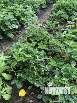 Дом 34м², 2-этажный, участок 4 сот.  